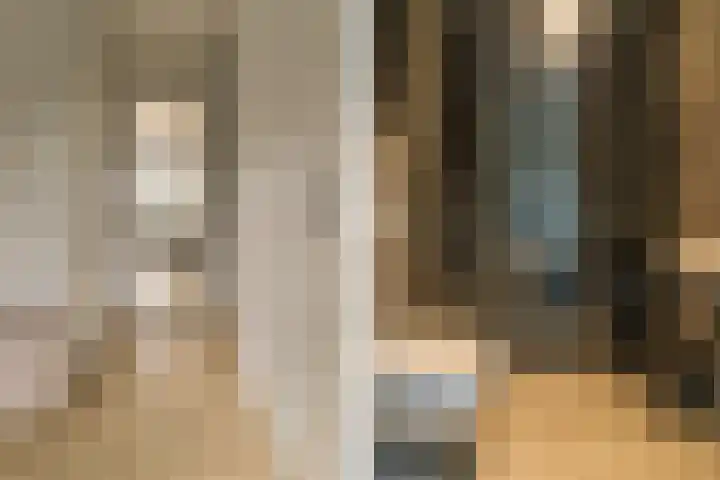 Steenzolder 7 Nunspeet thumbnail 7