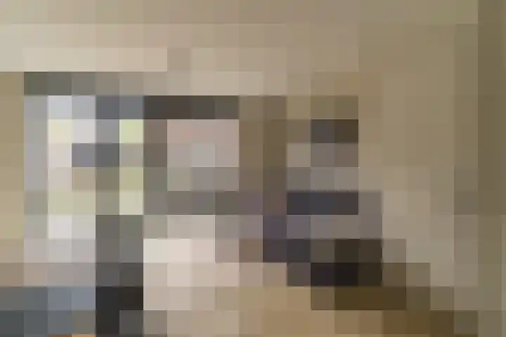 Steenzolder 7 Nunspeet thumbnail 9