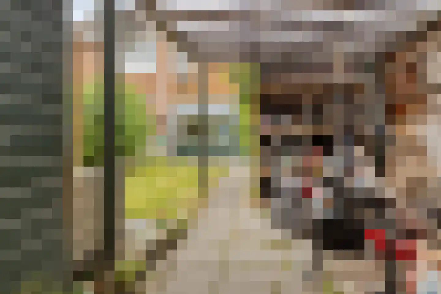 Steenzout 76 Heerhugowaard thumbnail 11