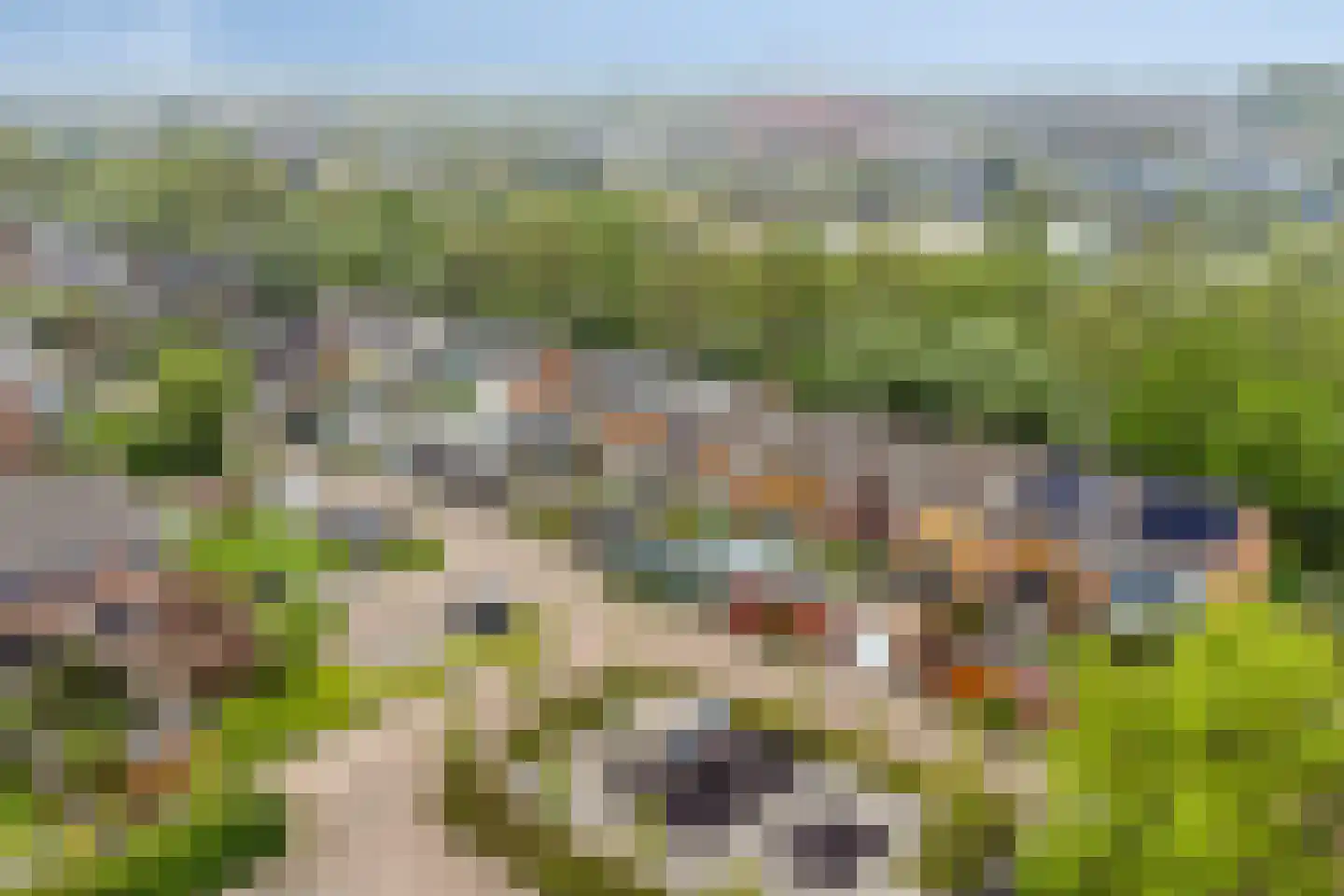 Steenzout 76 Heerhugowaard thumbnail 27