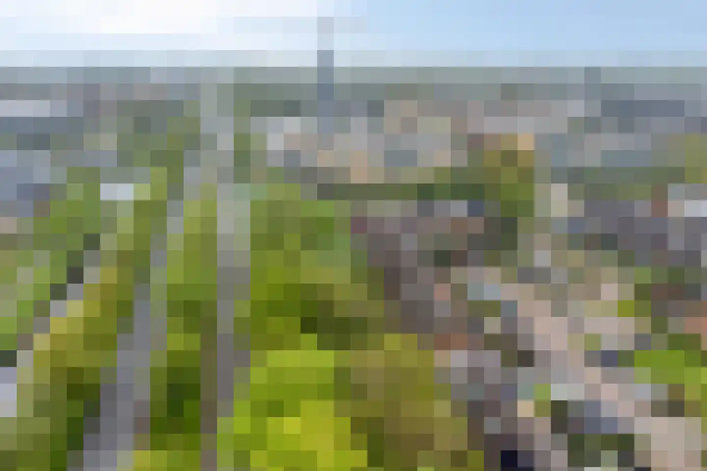 Steenzout 76 Heerhugowaard thumbnail 30