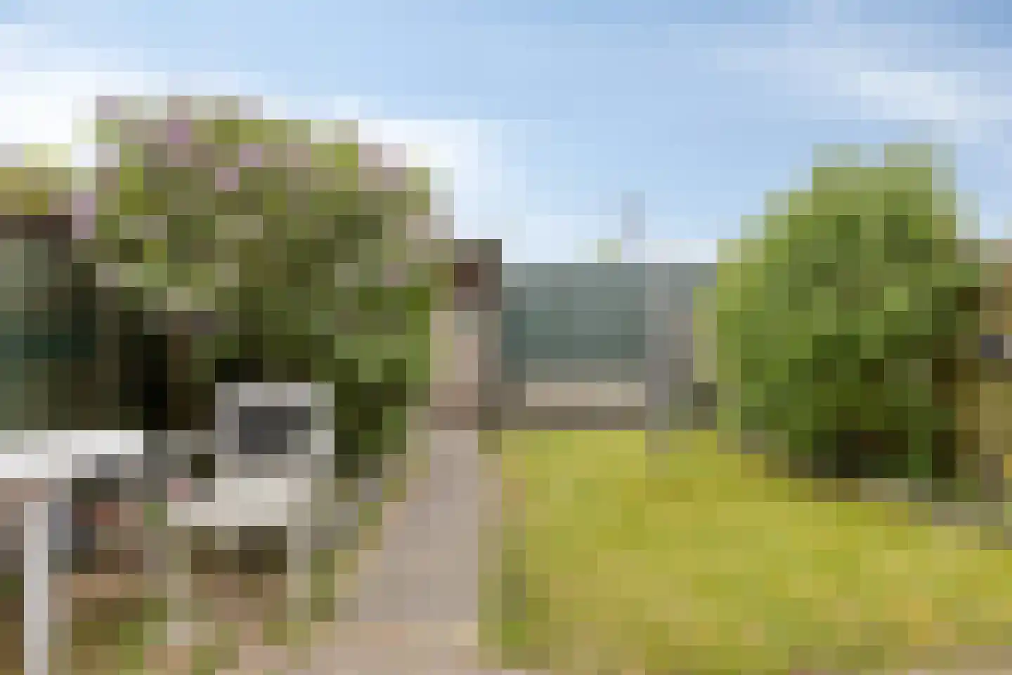Steenzout 76 Heerhugowaard thumbnail 9