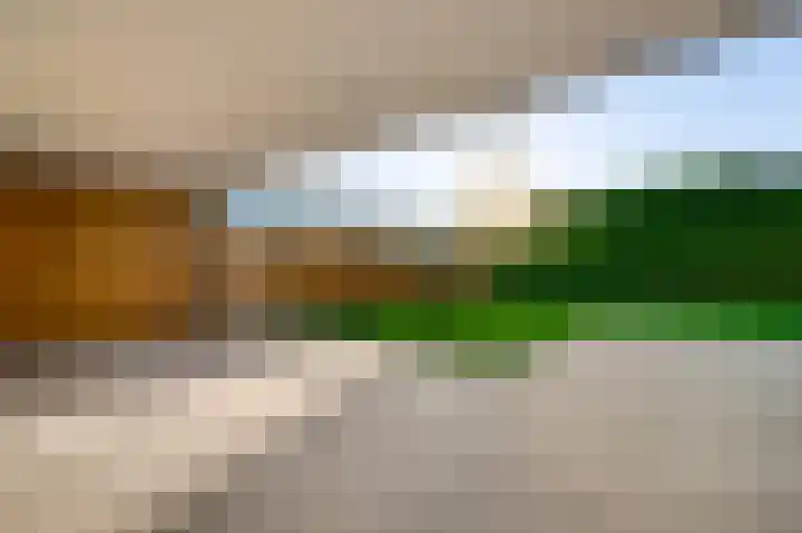 Steer 5 Nederweert thumbnail 26
