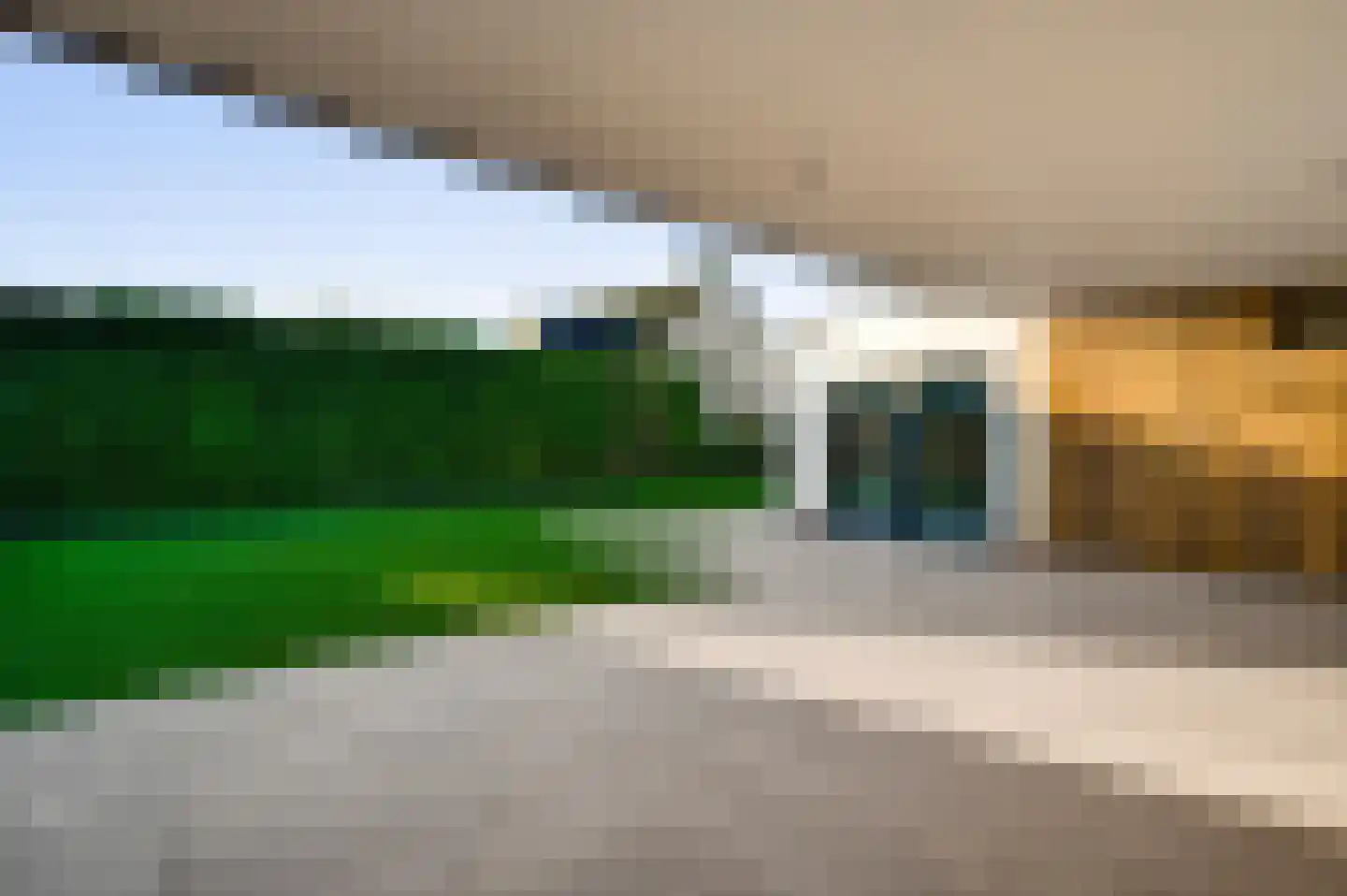 Steer 5 Nederweert thumbnail 27