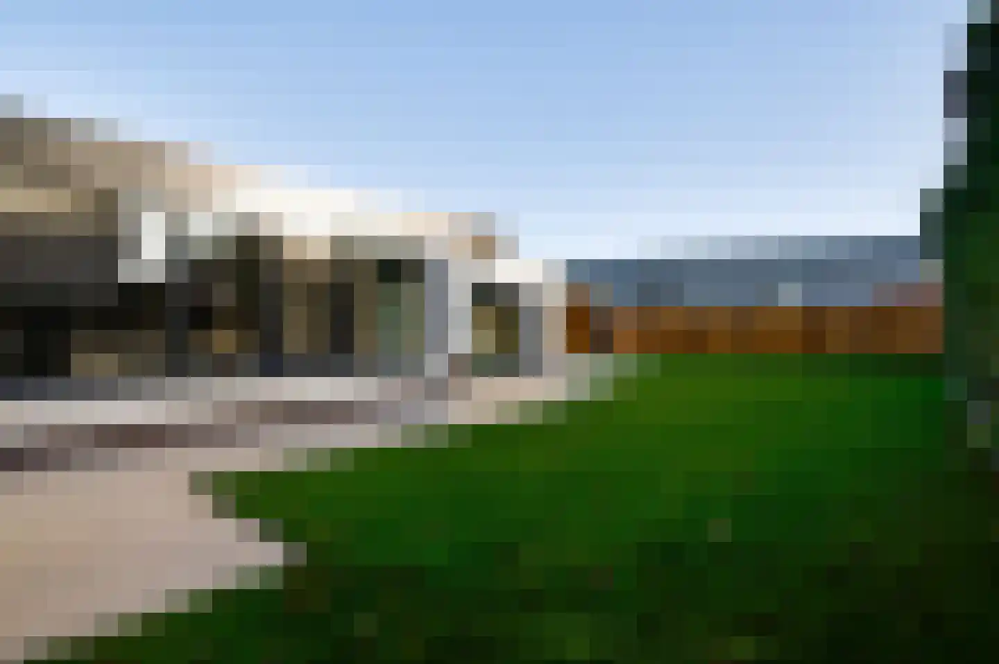 Steer 5 Nederweert thumbnail 28