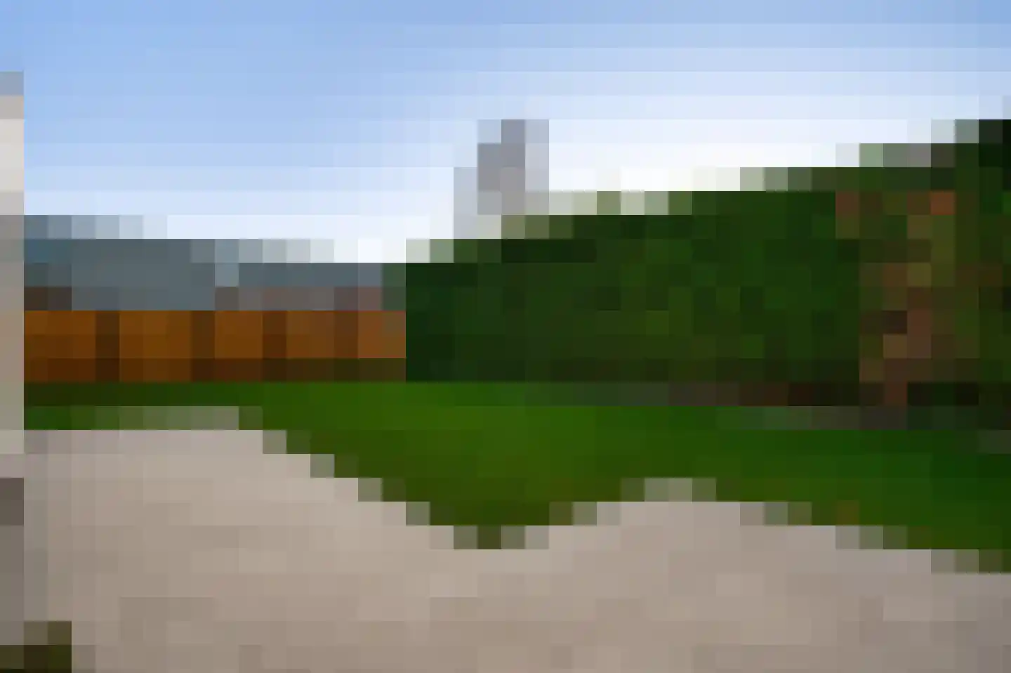 Steer 5 Nederweert thumbnail 30