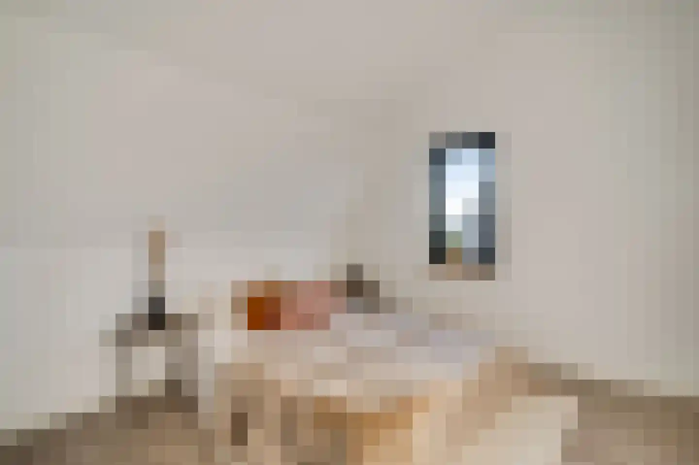 Steer 5 Nederweert thumbnail 37