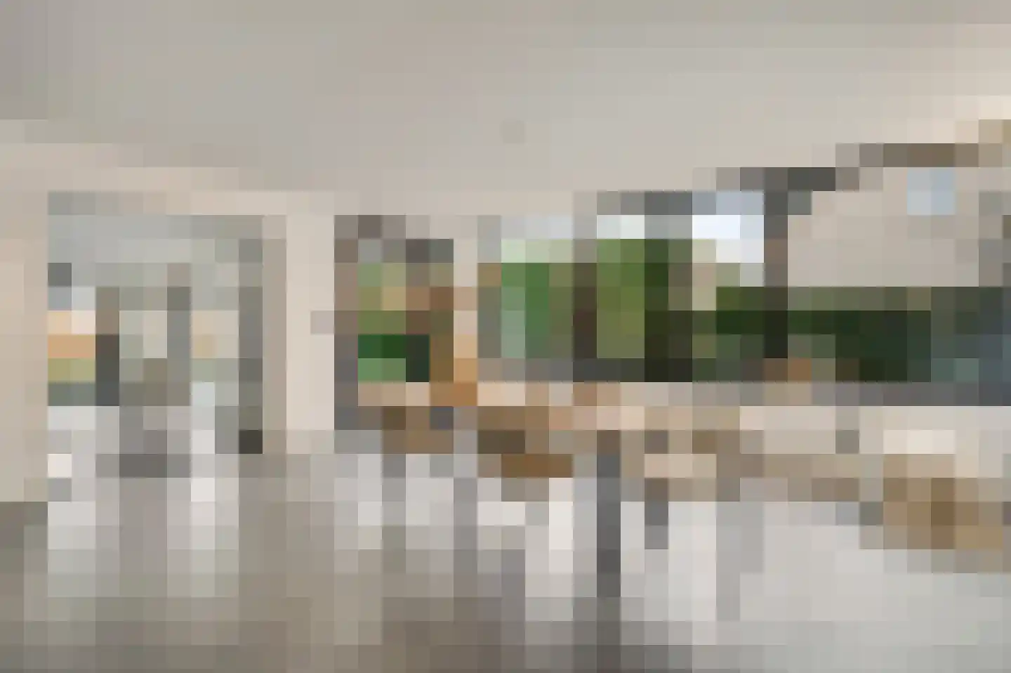Steer 5 Nederweert thumbnail 4