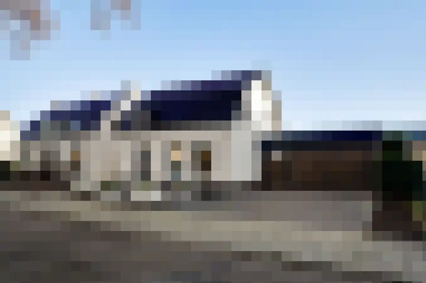 Steer 5 Nederweert thumbnail 5