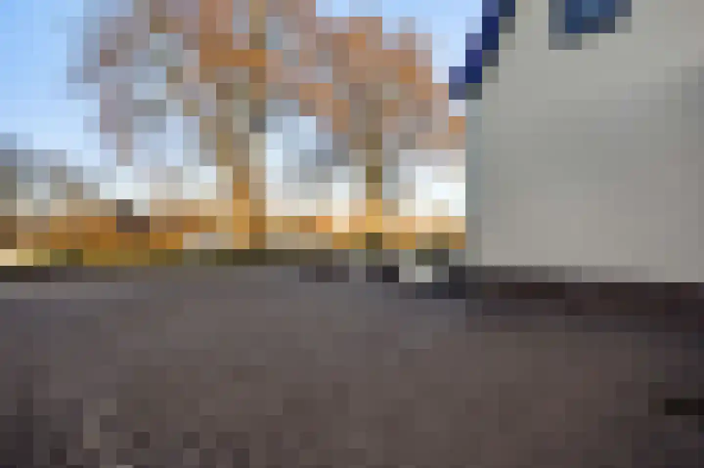 Steer 5 Nederweert thumbnail 8