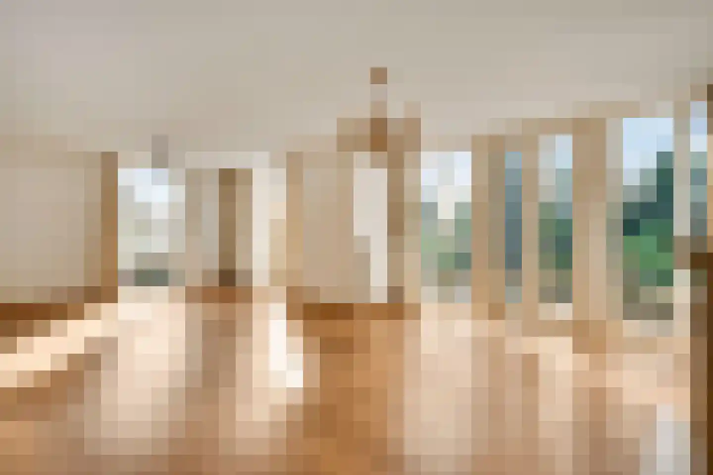 Steer 6 Nederweert thumbnail 11