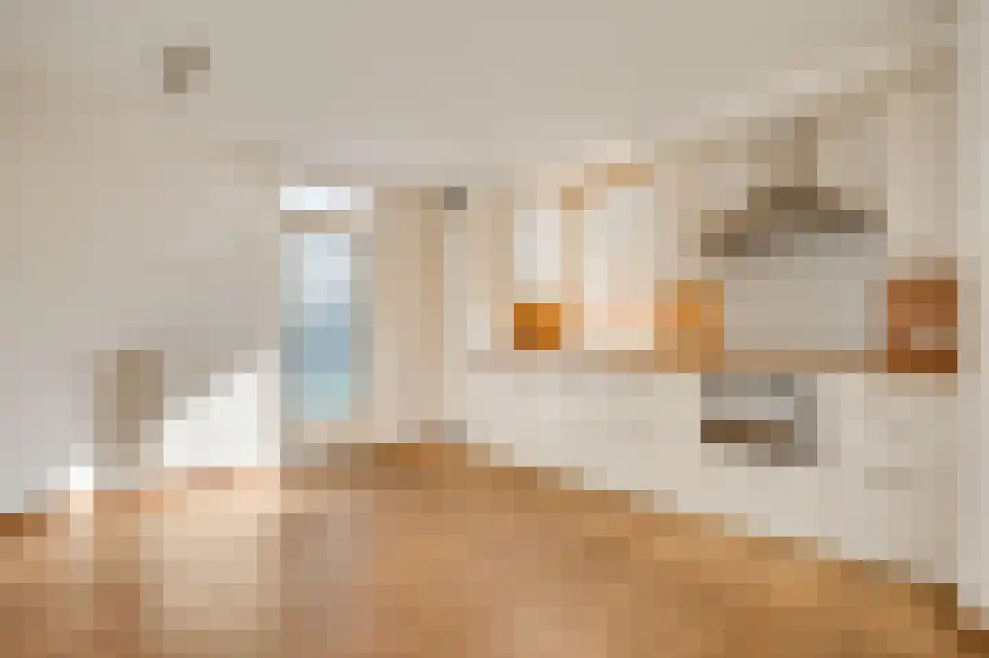 Steer 6 Nederweert thumbnail 15