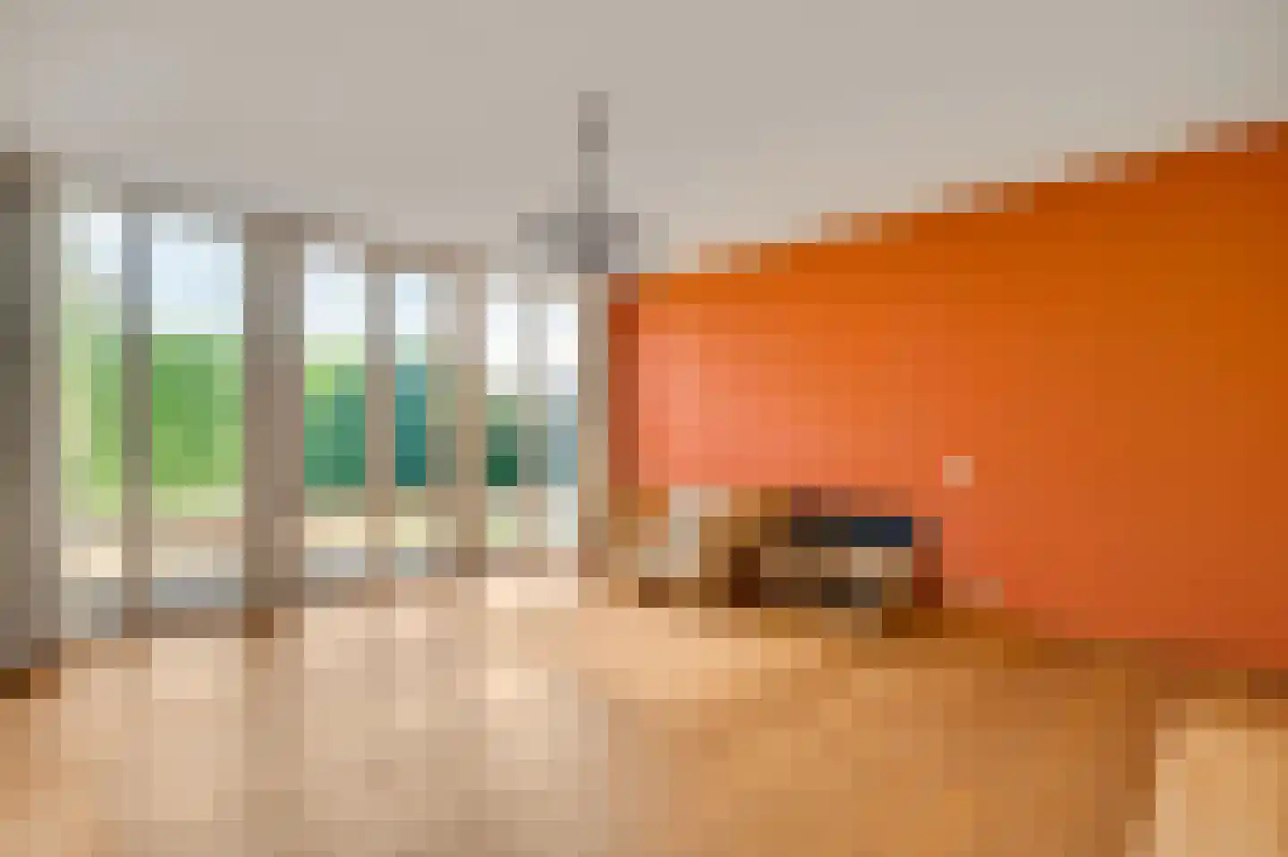 Steer 6 Nederweert thumbnail 18