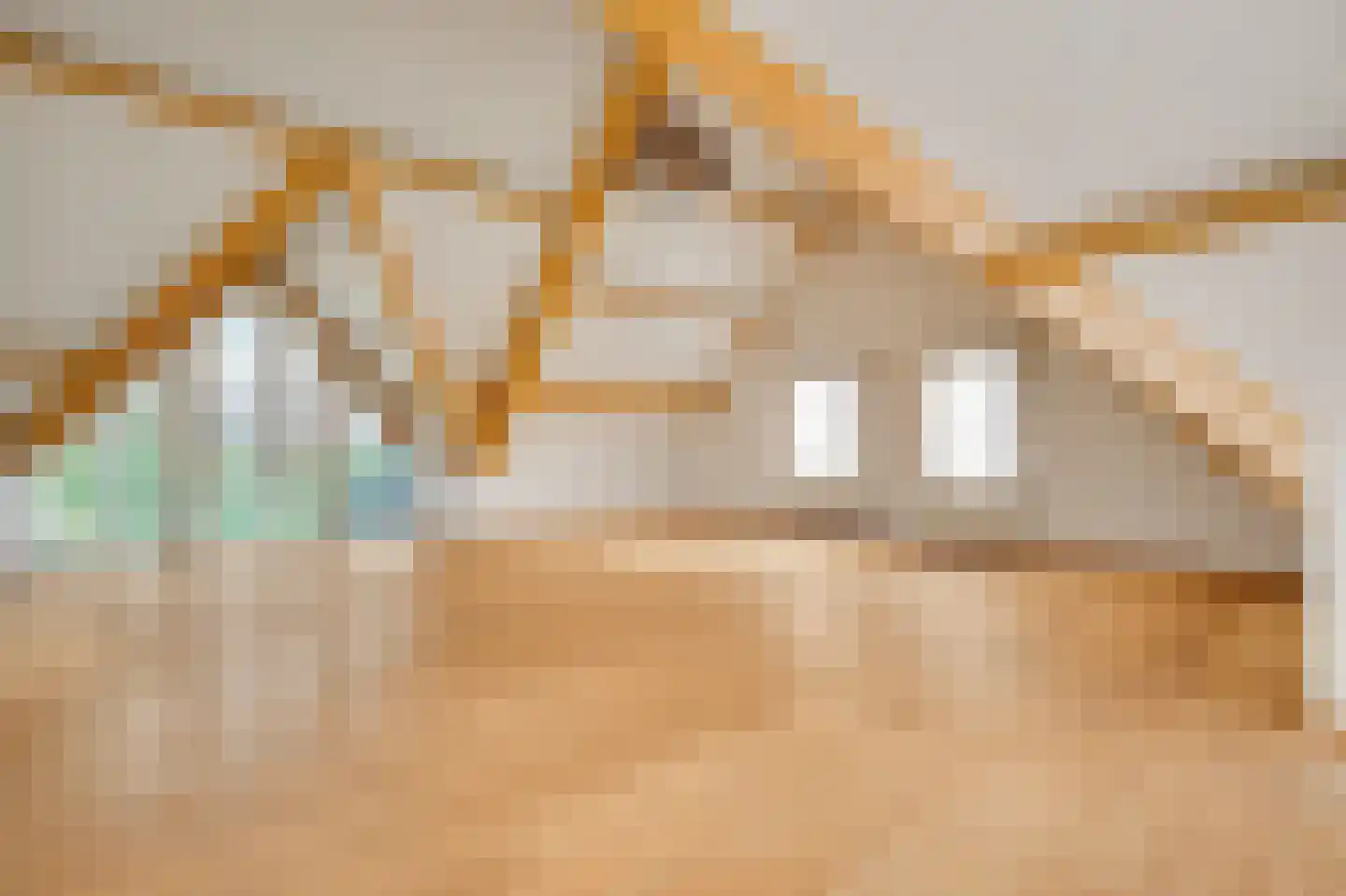 Steer 6 Nederweert thumbnail 22