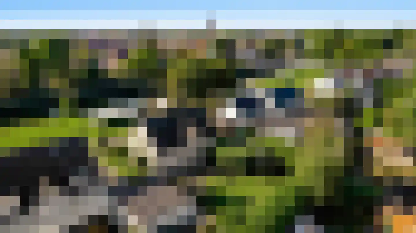 Steer 6 Nederweert thumbnail 27