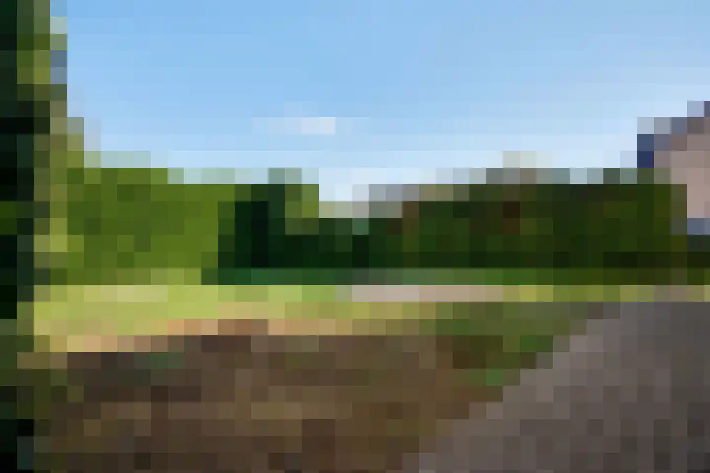 Steer 6 Nederweert thumbnail 30