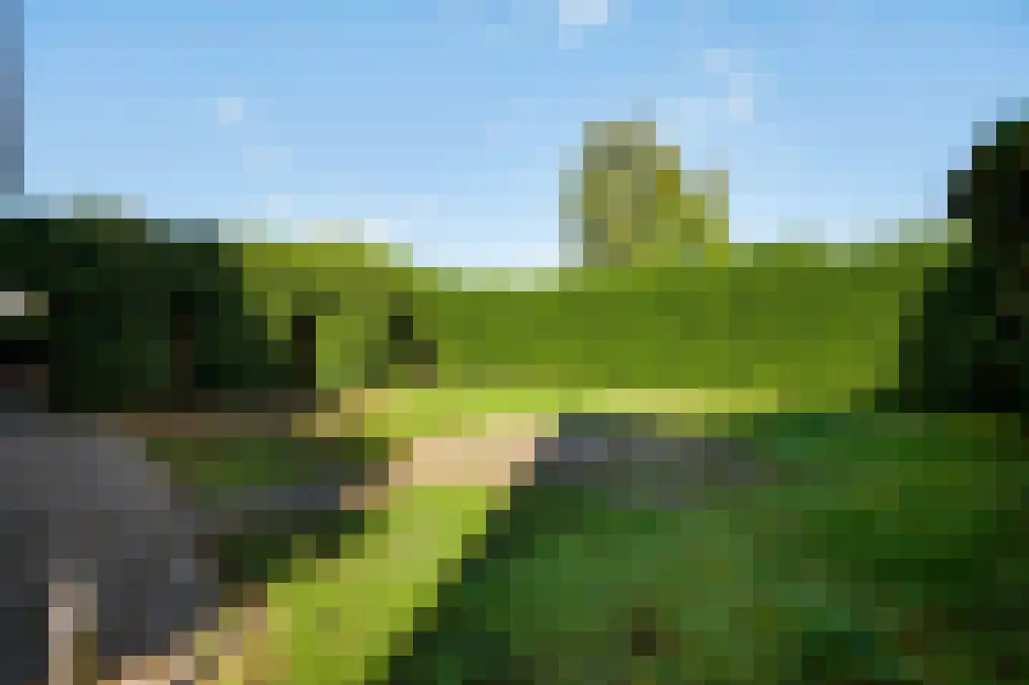Steer 6 Nederweert thumbnail 31