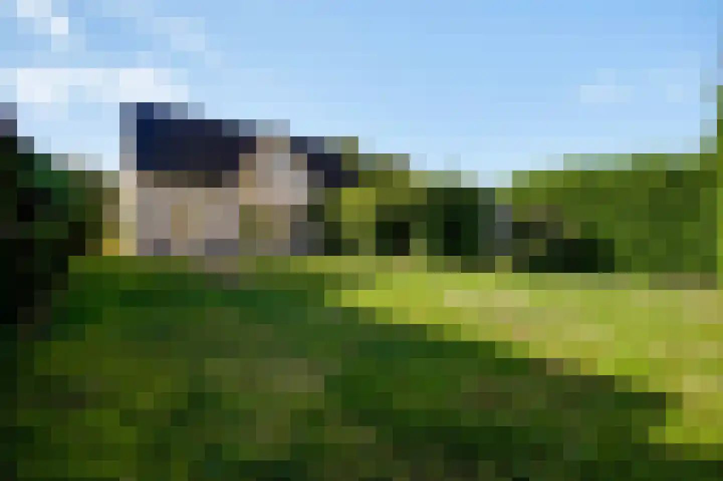 Steer 6 Nederweert thumbnail 32