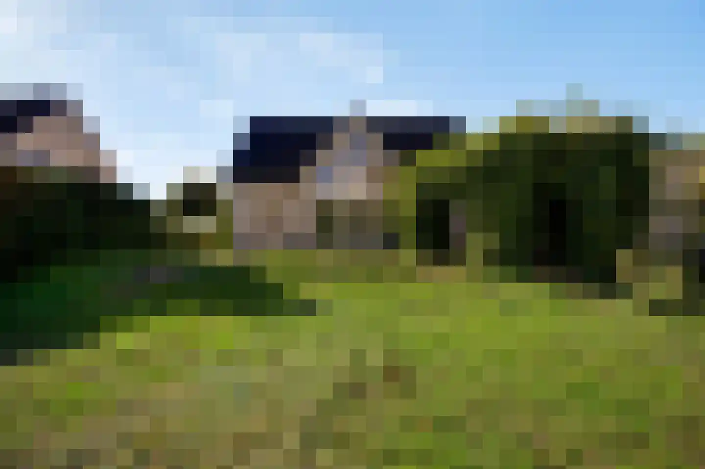 Steer 6 Nederweert thumbnail 34