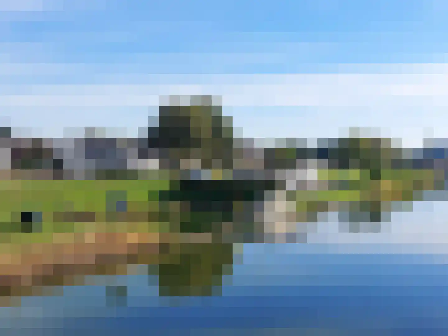 Steer 6 Nederweert thumbnail 35