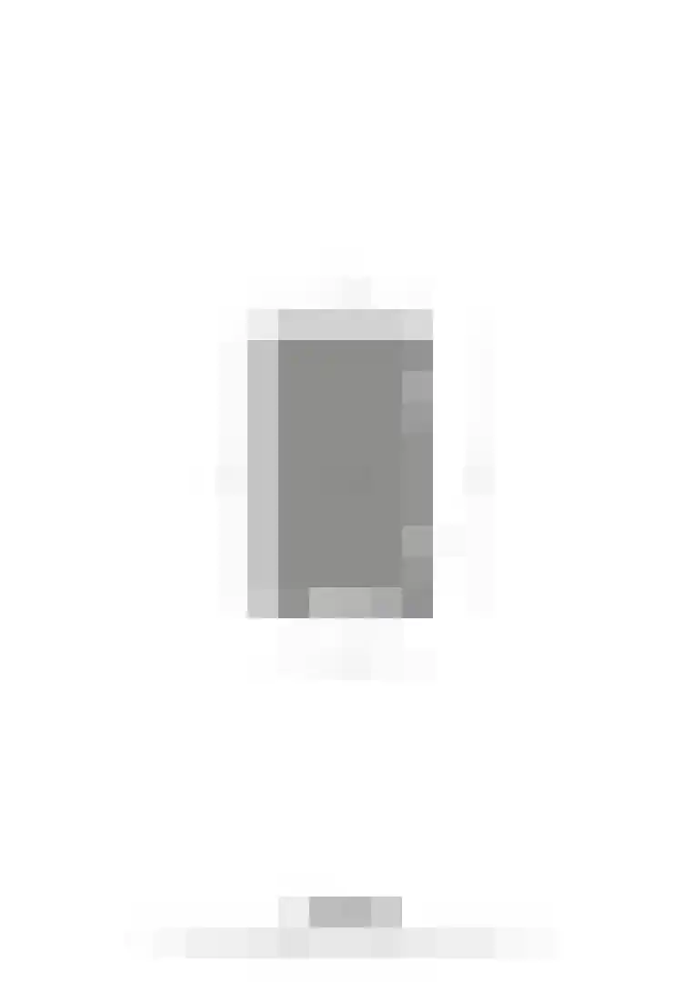 Steer 6 Nederweert thumbnail 39