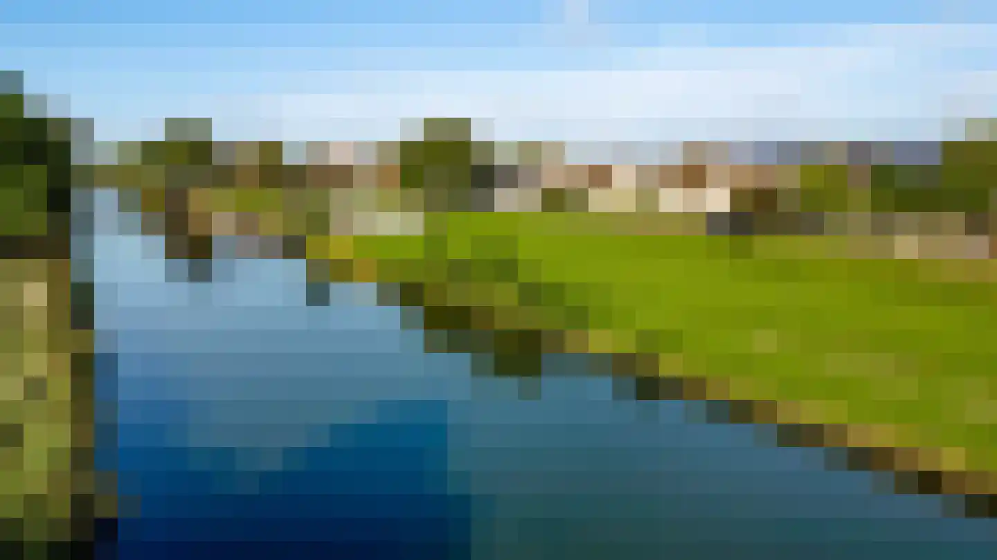 Steer 6 Nederweert thumbnail 5
