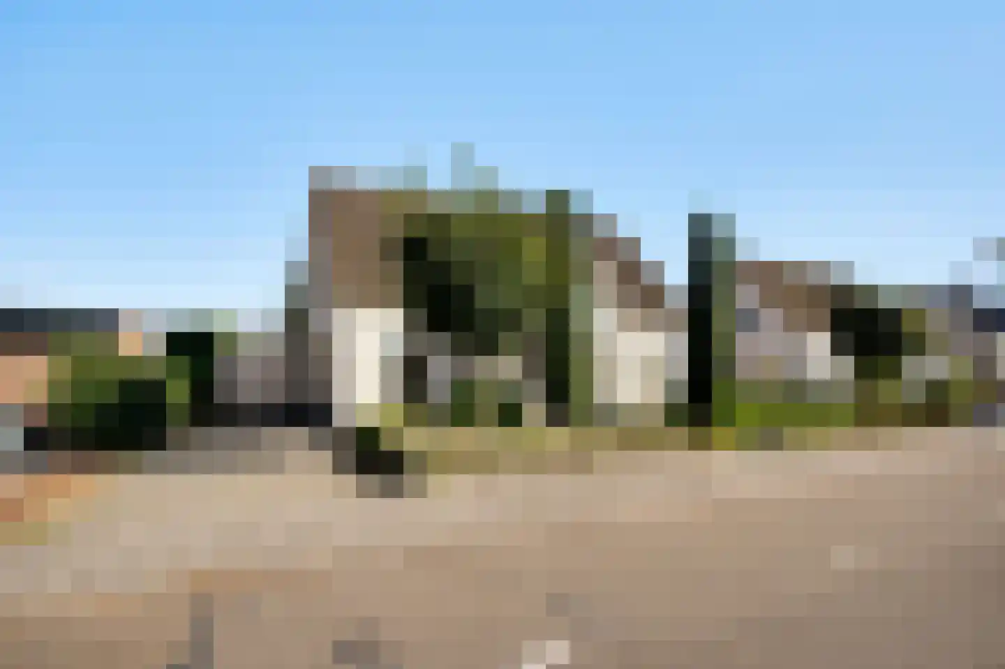 Steer 6 Nederweert thumbnail 6