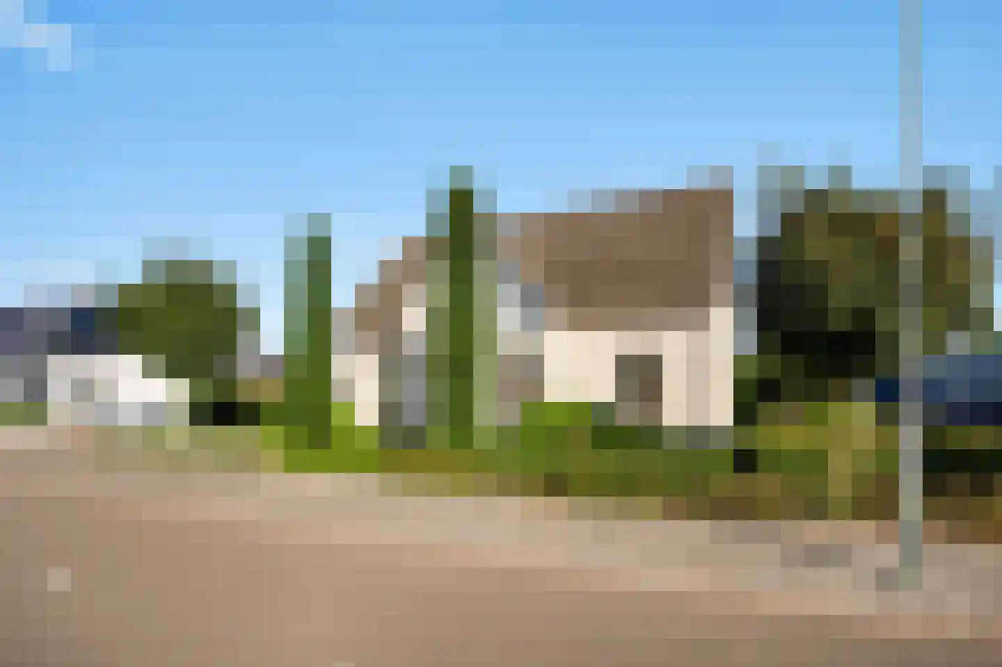 Steer 6 Nederweert thumbnail 7