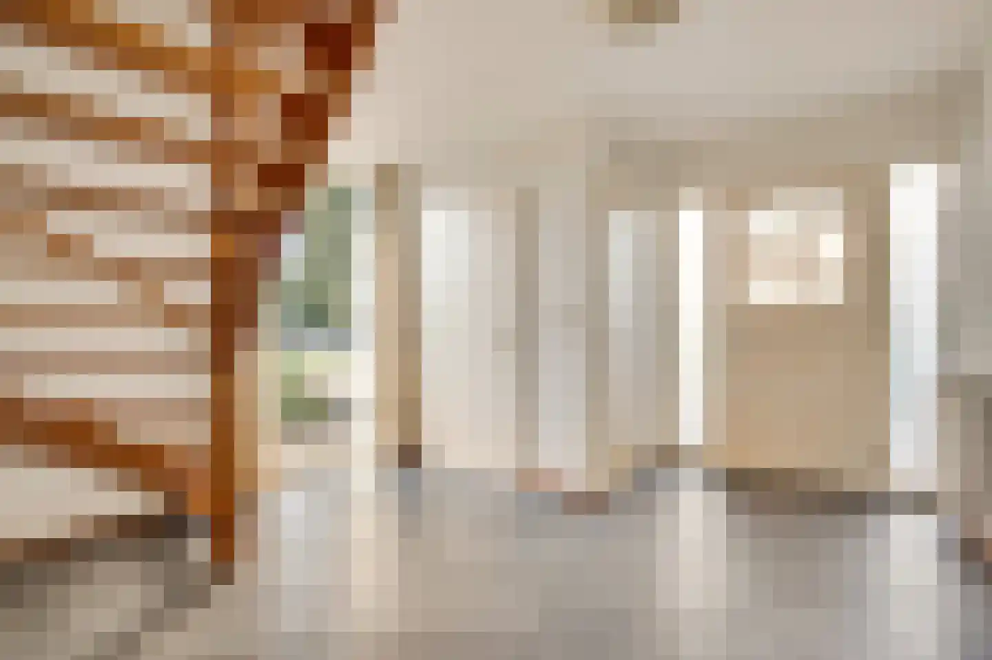 Steer 6 Nederweert thumbnail 8