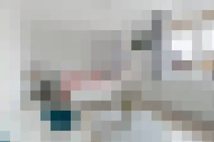 Steertweide 5 Alkmaar thumbnail 18