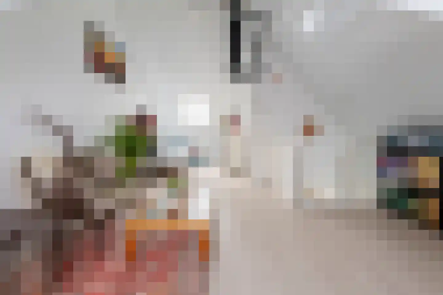 Steertweide 5 Alkmaar thumbnail 24
