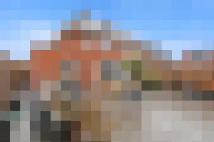Steertweide 5 Alkmaar thumbnail 29