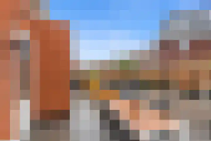 Steertweide 5 Alkmaar thumbnail 30