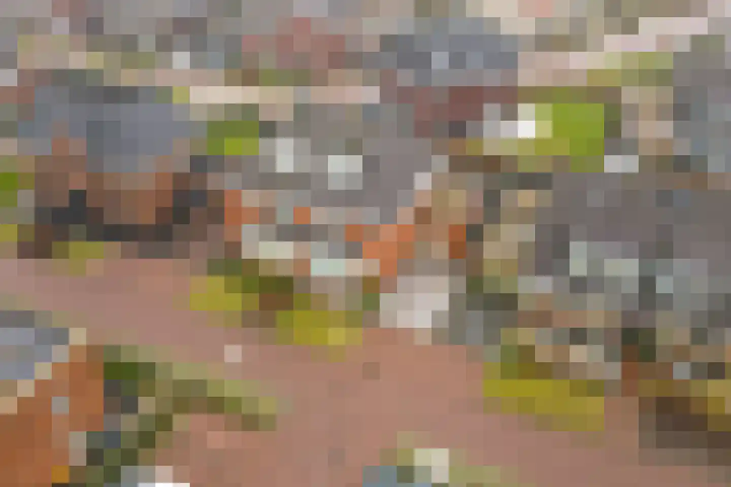 Steertweide 5 Alkmaar thumbnail 32