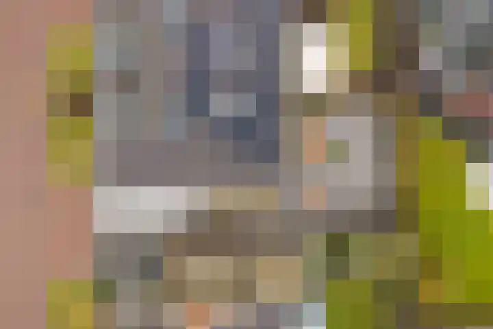 Steertweide 5 Alkmaar thumbnail 34