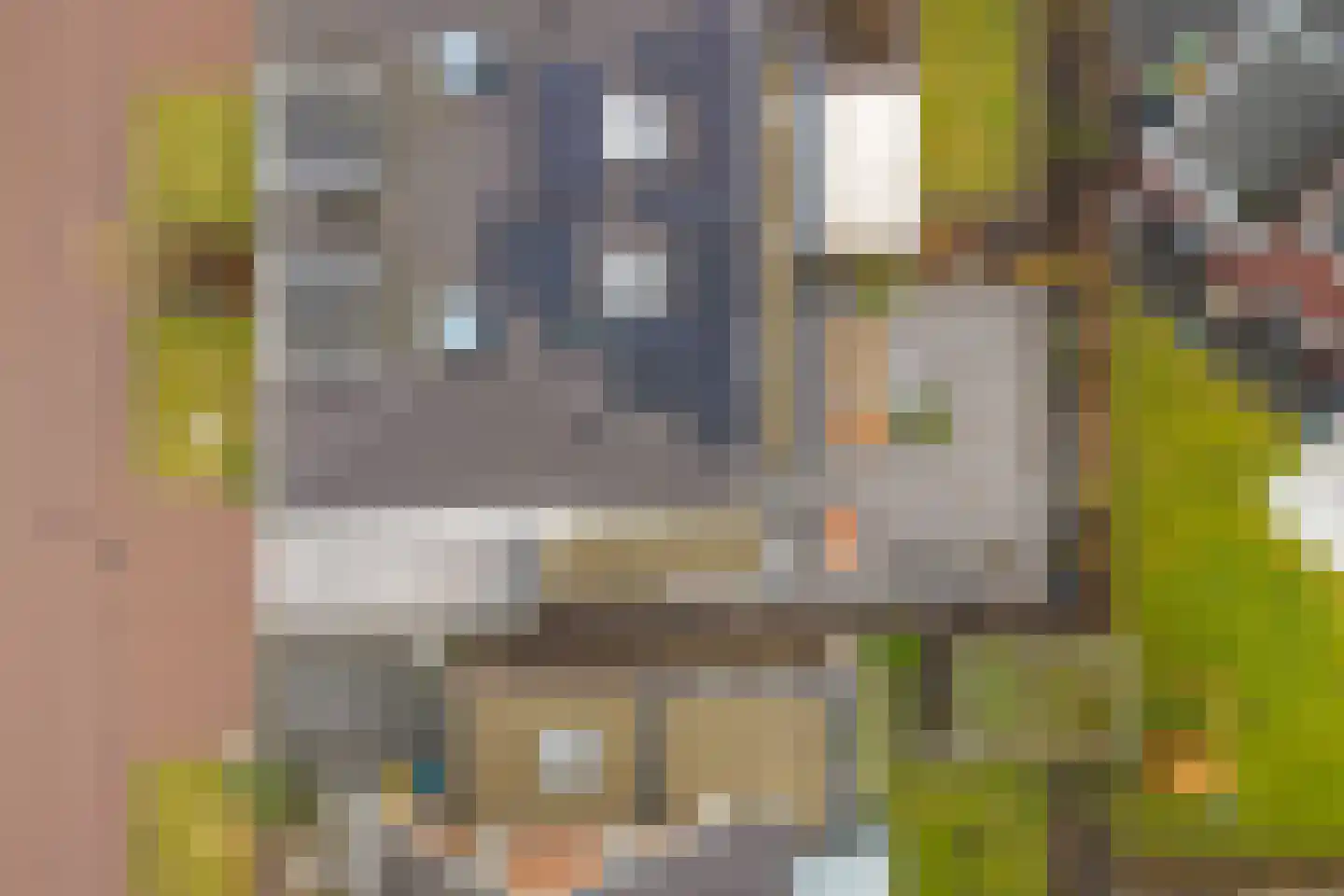 Steertweide 5 Alkmaar thumbnail 34