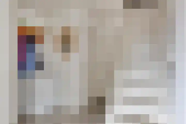 Steeuwichtweg 28 Uden thumbnail 17
