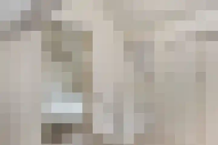 Steeuwichtweg 28 Uden thumbnail 18