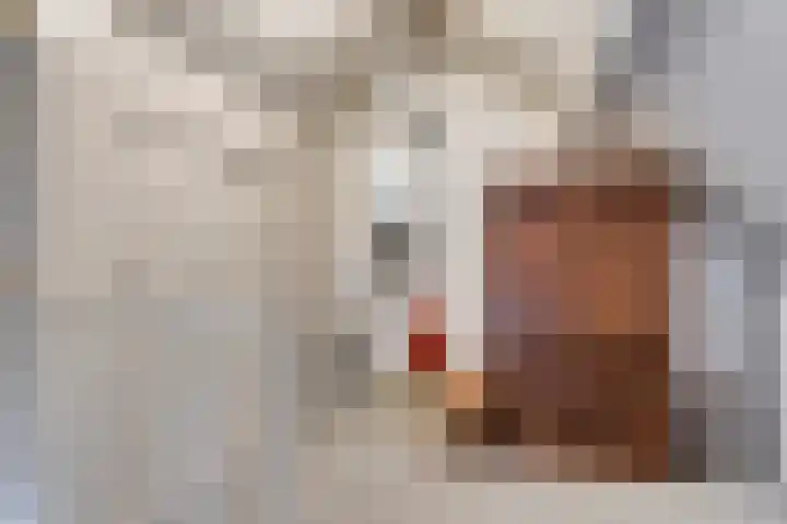 Steeuwichtweg 28 Uden thumbnail 19