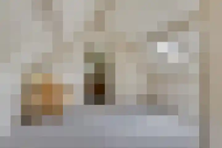 Steeuwichtweg 28 Uden thumbnail 20