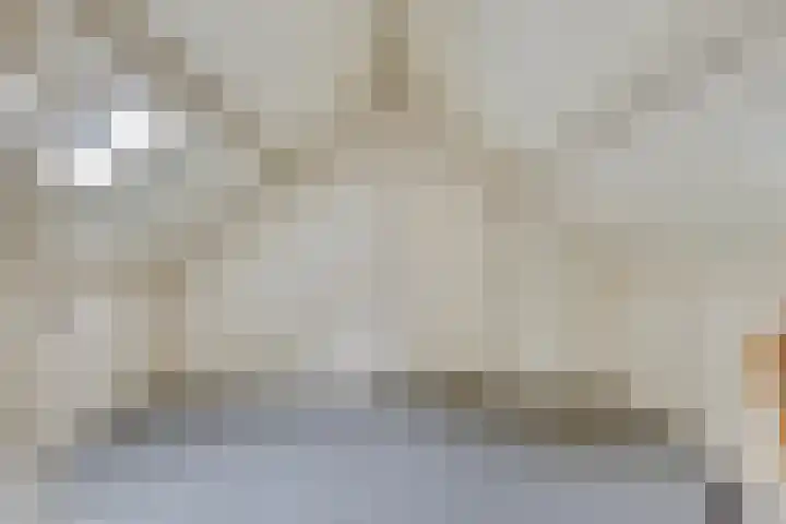 Steeuwichtweg 28 Uden thumbnail 21