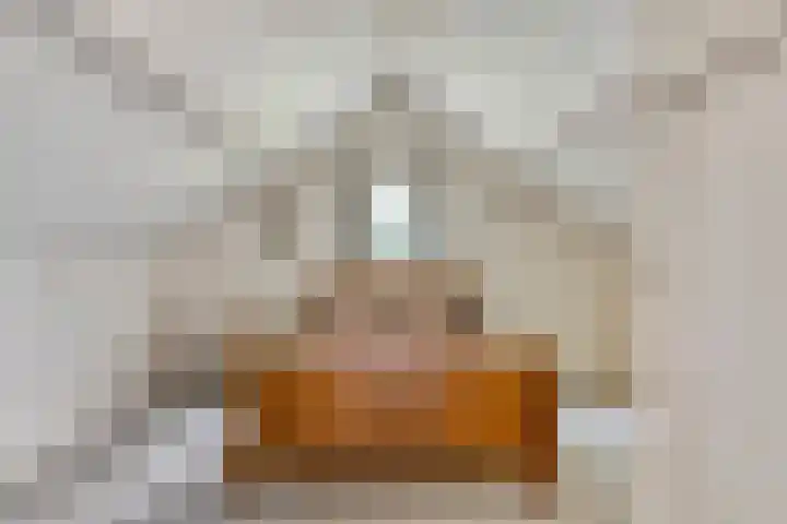 Steeuwichtweg 28 Uden thumbnail 22