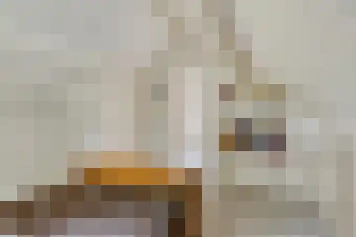 Steeuwichtweg 28 Uden thumbnail 23