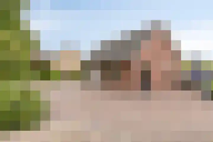 Steeuwichtweg 28 Uden thumbnail 24