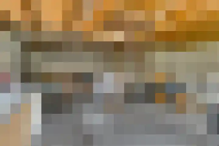 Steeuwichtweg 28 Uden thumbnail 26