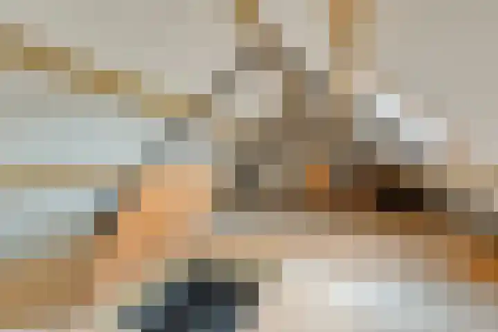 Steeuwichtweg 28 Uden thumbnail 28