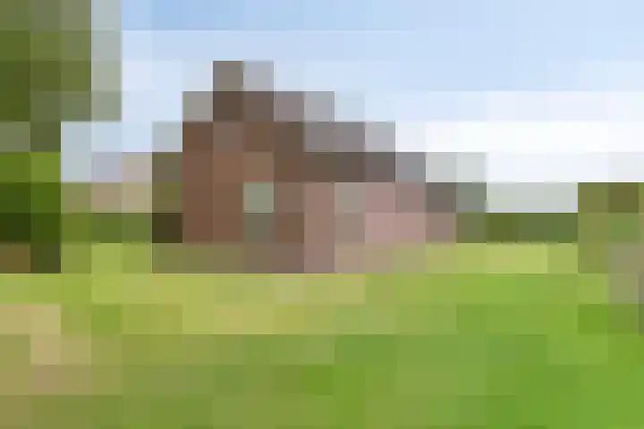 Steeuwichtweg 28 Uden thumbnail 29