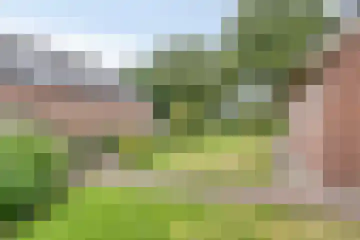 Steeuwichtweg 28 Uden thumbnail 30