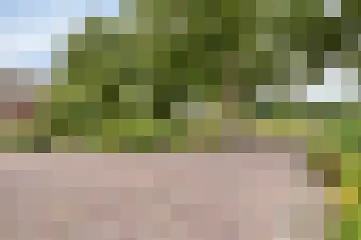 Steeuwichtweg 28 Uden thumbnail 32