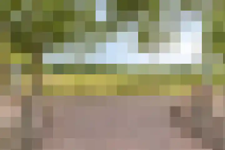 Steeuwichtweg 28 Uden thumbnail 33